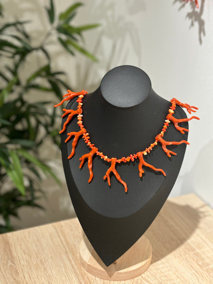 COLLAR CORAL